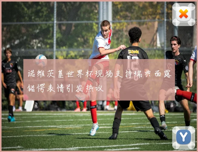 诺维茨基世界杯现场支持瑞典面露错愕表情引发热议