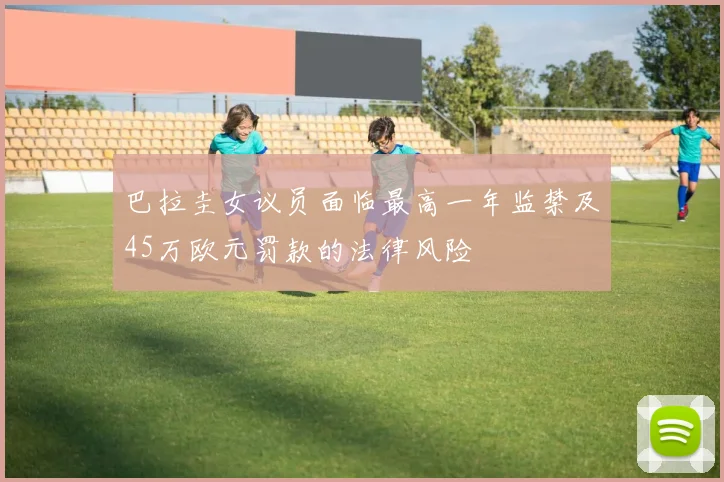 巴拉圭女议员面临最高一年监禁及45万欧元罚款的法律风险